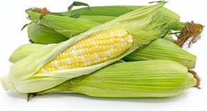 Corn Bi Color