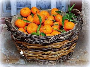 Oranges  Mandarin  Clementine