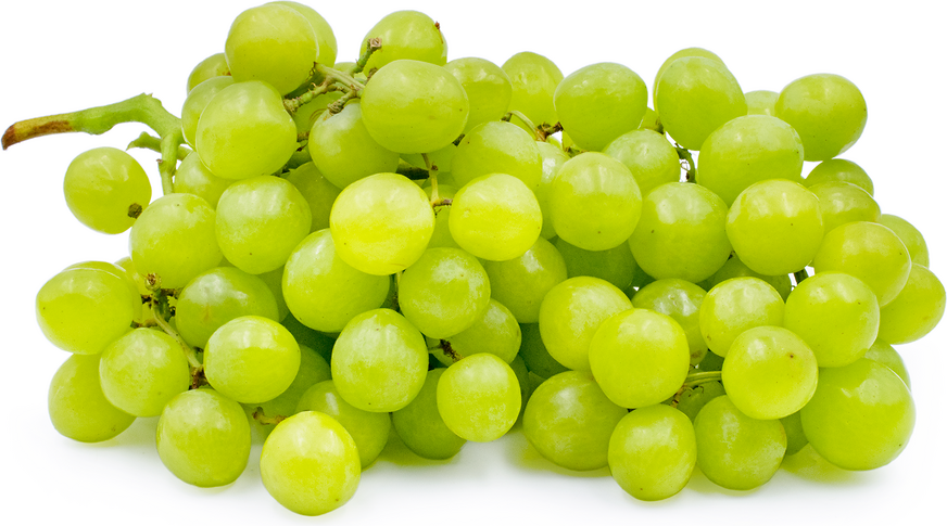 Grapes - Green - Seedless