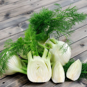 Fennel / Anise