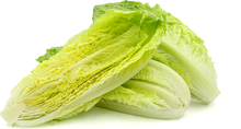 Load image into Gallery viewer, lettuce  Romaine
