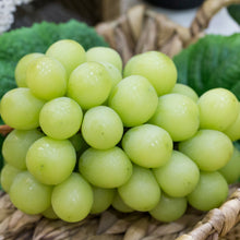 Load image into Gallery viewer, Grapes - Green - Seedless

