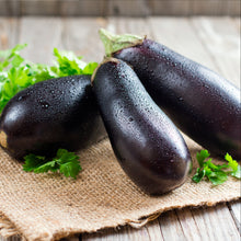 Load image into Gallery viewer, Eggplant
