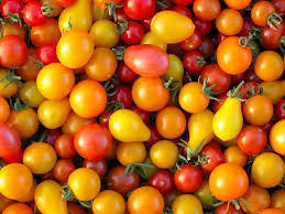 Tomato Assorted Heirloom