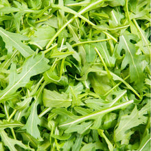 Load image into Gallery viewer, Baby Arugula
