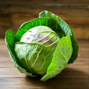 Cabbage - Green
