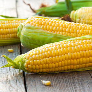Corn - Yellow