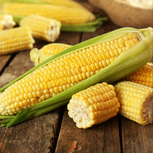 Load image into Gallery viewer, Corn - Yellow
