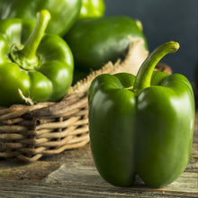 Load image into Gallery viewer, Pepper  Green pepper
