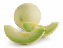 Load image into Gallery viewer, Melon Honeydew
