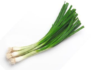 Scallion  Green onions