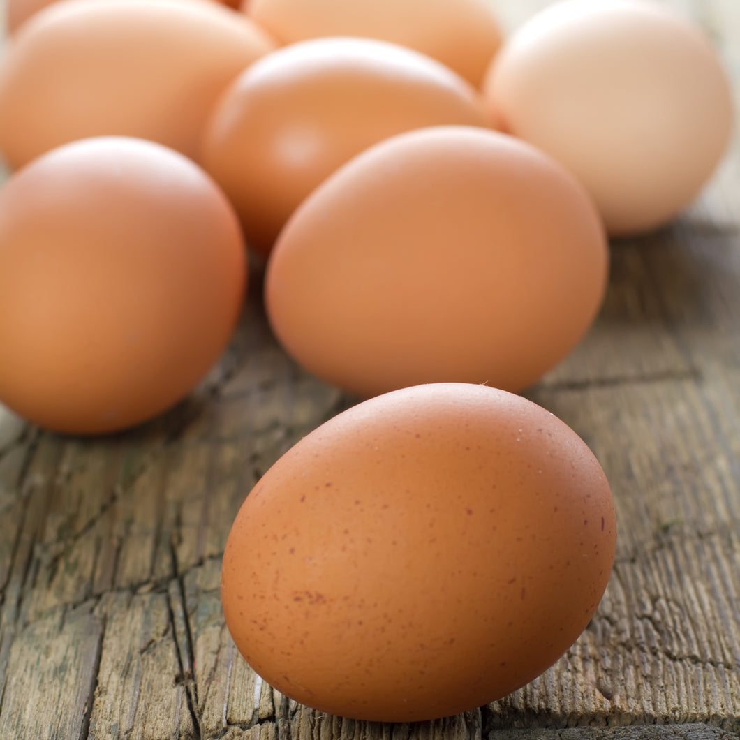 Eggs - Organic Extra large Dozen