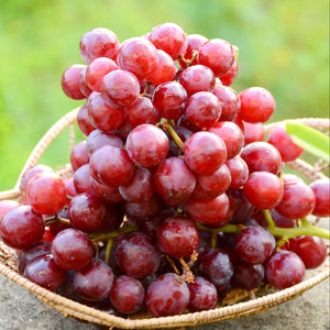 Grapes  Red Seedless