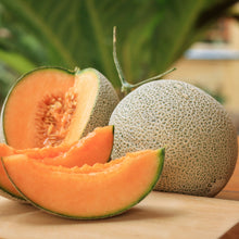 Load image into Gallery viewer, Melon Cantaloupe
