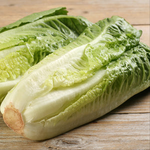 lettuce  Romaine