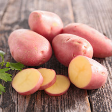 Load image into Gallery viewer, Potato  Red potato
