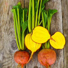 Load image into Gallery viewer, Beets Golden
